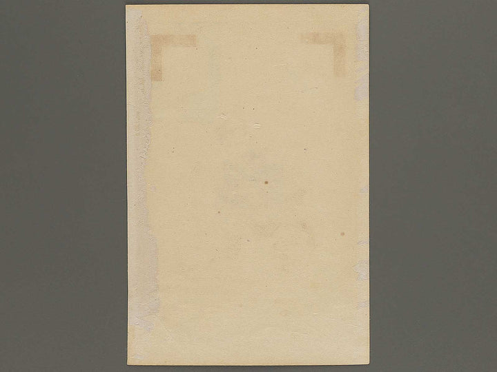 Fuyo from the series Fuzokutsu by Miyakawa Shuntei / BJ344-302