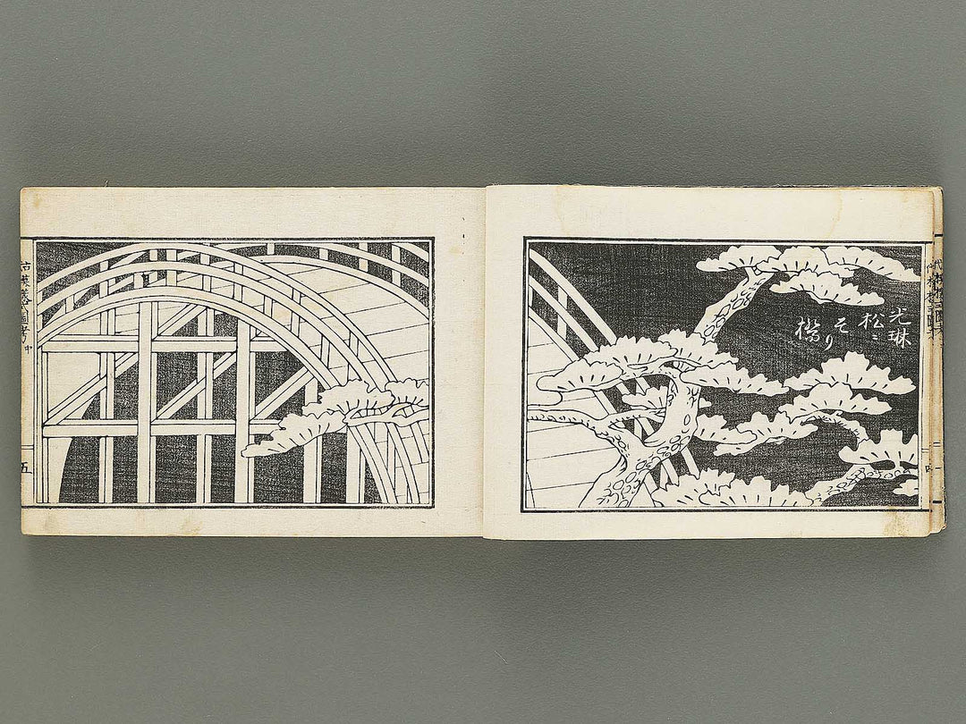 Kodai moyo shikizu ko (Chu) by Kano Motonobu, Katsushika Hokusai, Ogata Korin, Sakai Hoitsu, etc. / BJ354-158