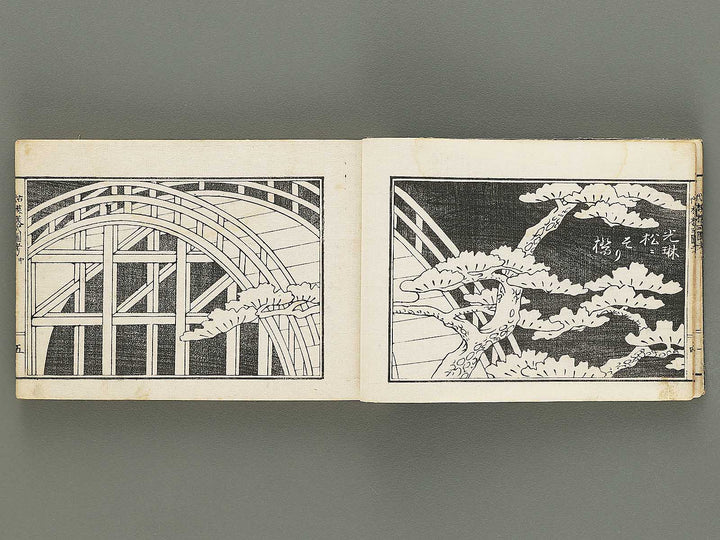 Kodai moyo shikizu ko (Chu) by Kano Motonobu, Katsushika Hokusai, Ogata Korin, Sakai Hoitsu, etc. / BJ354-158