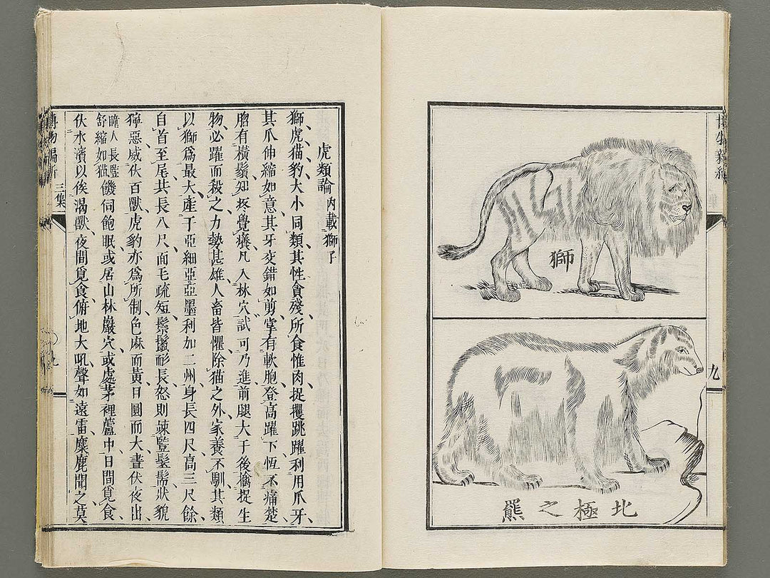 Hakubutsu Shinpen Volume 3 / BJ335-412