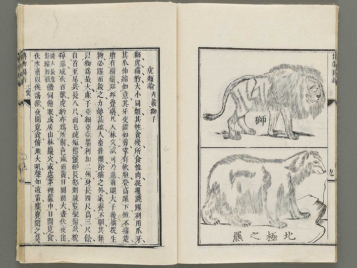 Hakubutsu Shinpen Volume 3 / BJ335-412