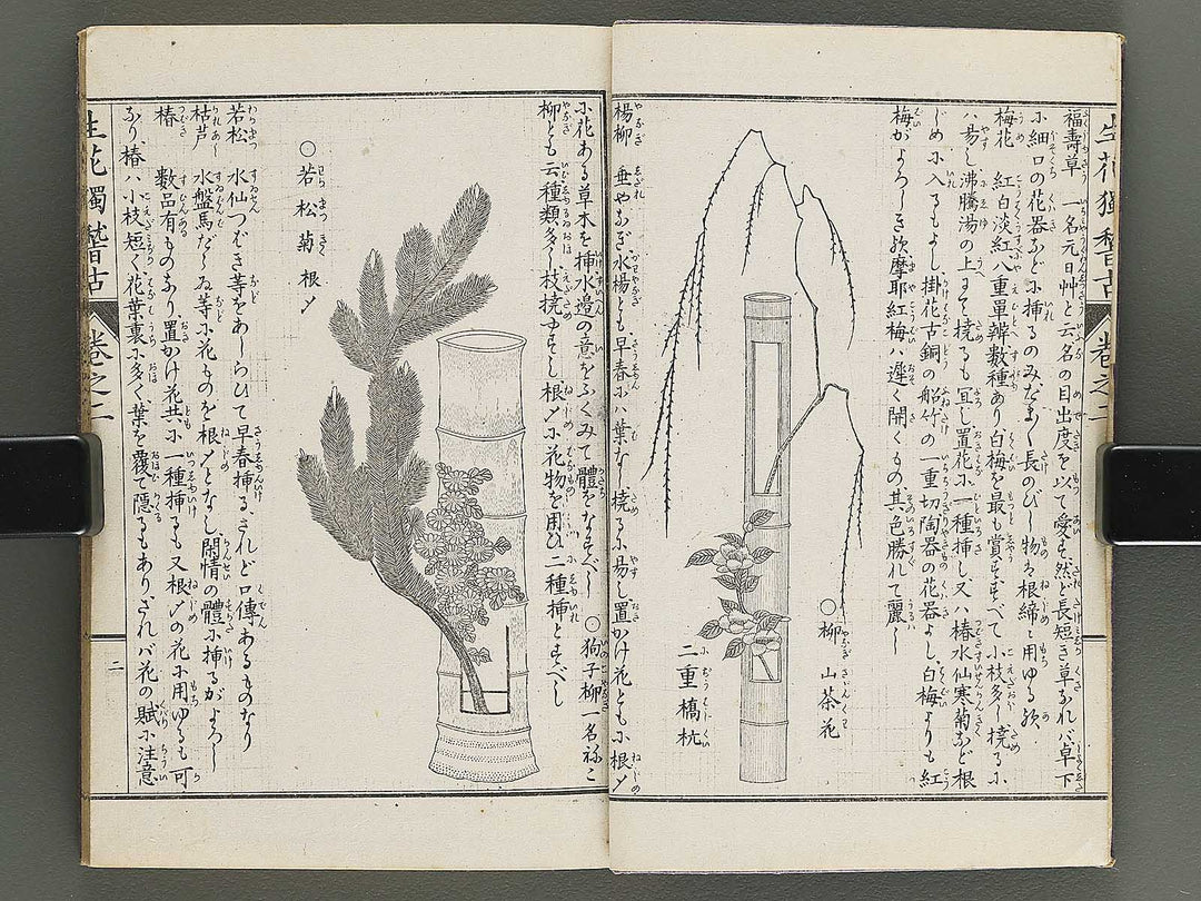 Shoryu hiden ikebana hitorigeiko Volume 2 / BJ347-935