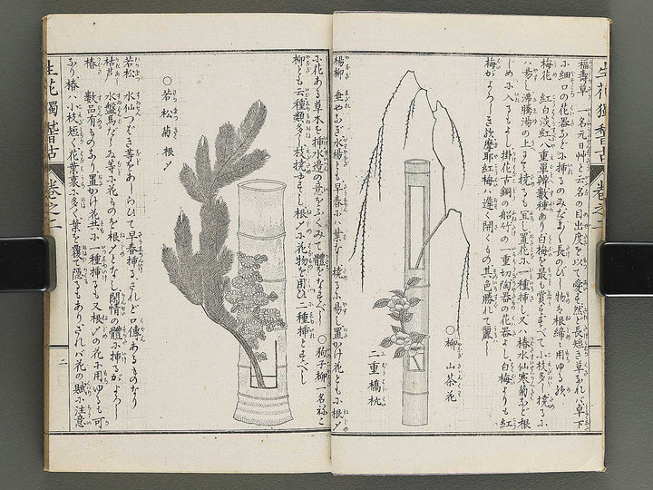 Shoryu hiden ikebana hitorigeiko Volume 2 / BJ347-935