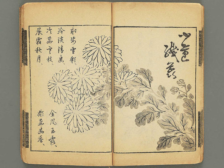 Naga sogaku Volume 4 / BJ353-668