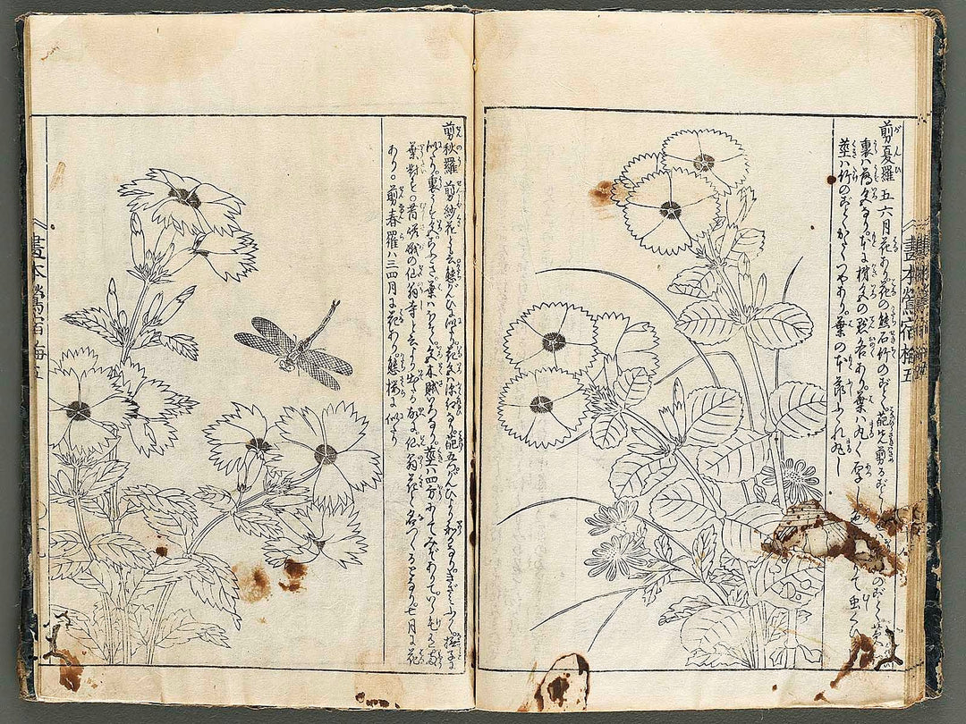 Ehon oushukubai Volume 5 by Tachibana Morikuni / BJ327-691