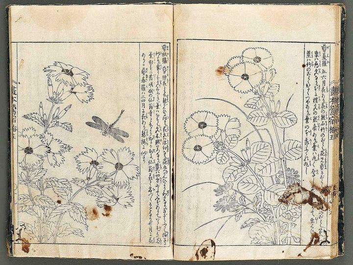 Ehon oushukubai Volume 5 by Tachibana Morikuni / BJ327-691