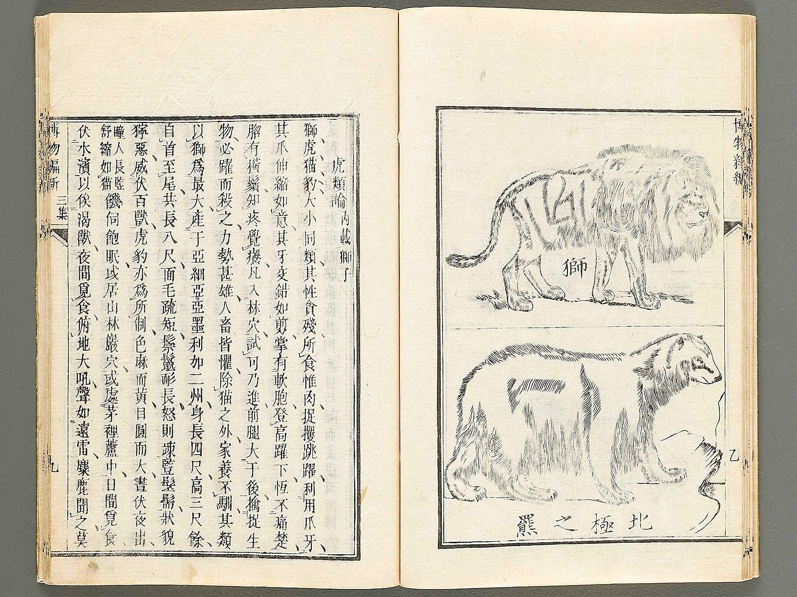 Hakubutsu Shinpen Volume 3 / BJ318-262 – NIHONKOSHO