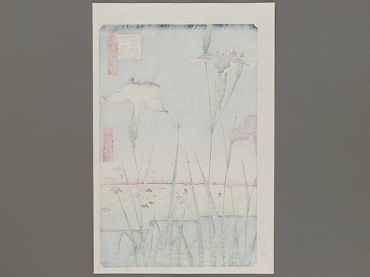 Horikiri Iris Garden from the series One Hundred Famous Views of Edo by Utagawa Hiroshige, (Large print size) / BJ331-541