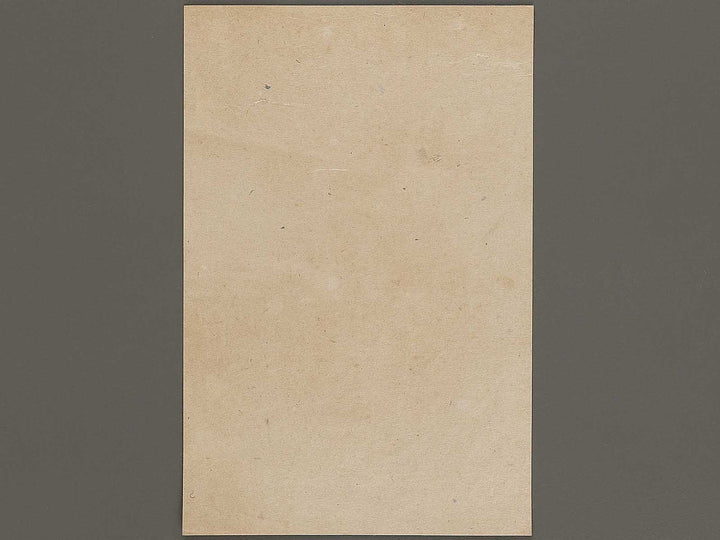 Shibaguchi isegen from the series Tokyo ryori sukoburu beppin by Tsukioka Yoshitoshi / BJ337-372