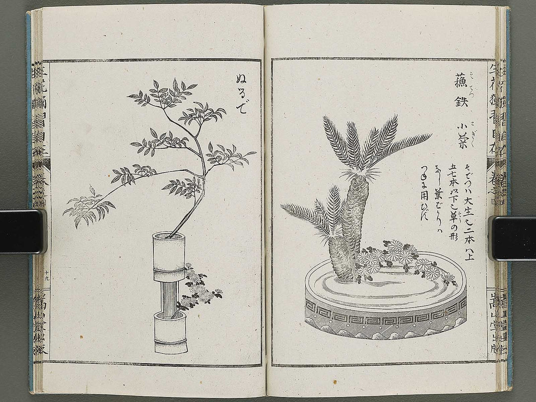 Shoryu hiden ikebana dokushu jizai Volume 4 / BJ332-759