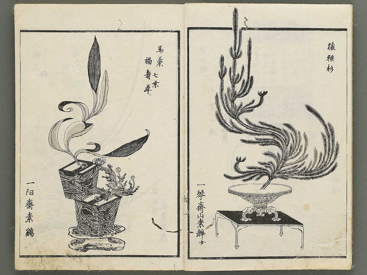 Jikei onryu ikebana chiyo no matsu / BJ342-244