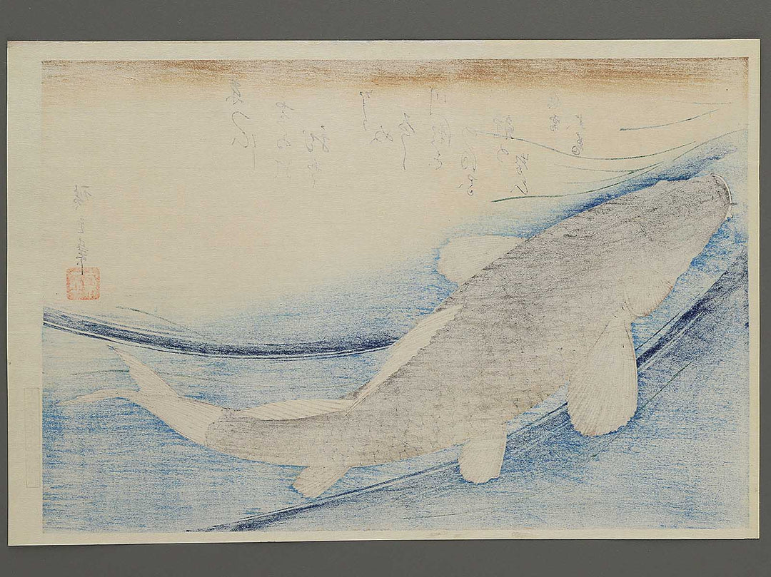 Japanese Carp from the series the series fish by Utagawa Hiroshige, (Large print size) / BJ350-224