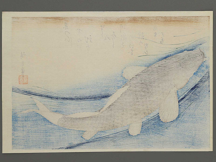 Japanese Carp from the series the series fish by Utagawa Hiroshige, (Large print size) / BJ350-224