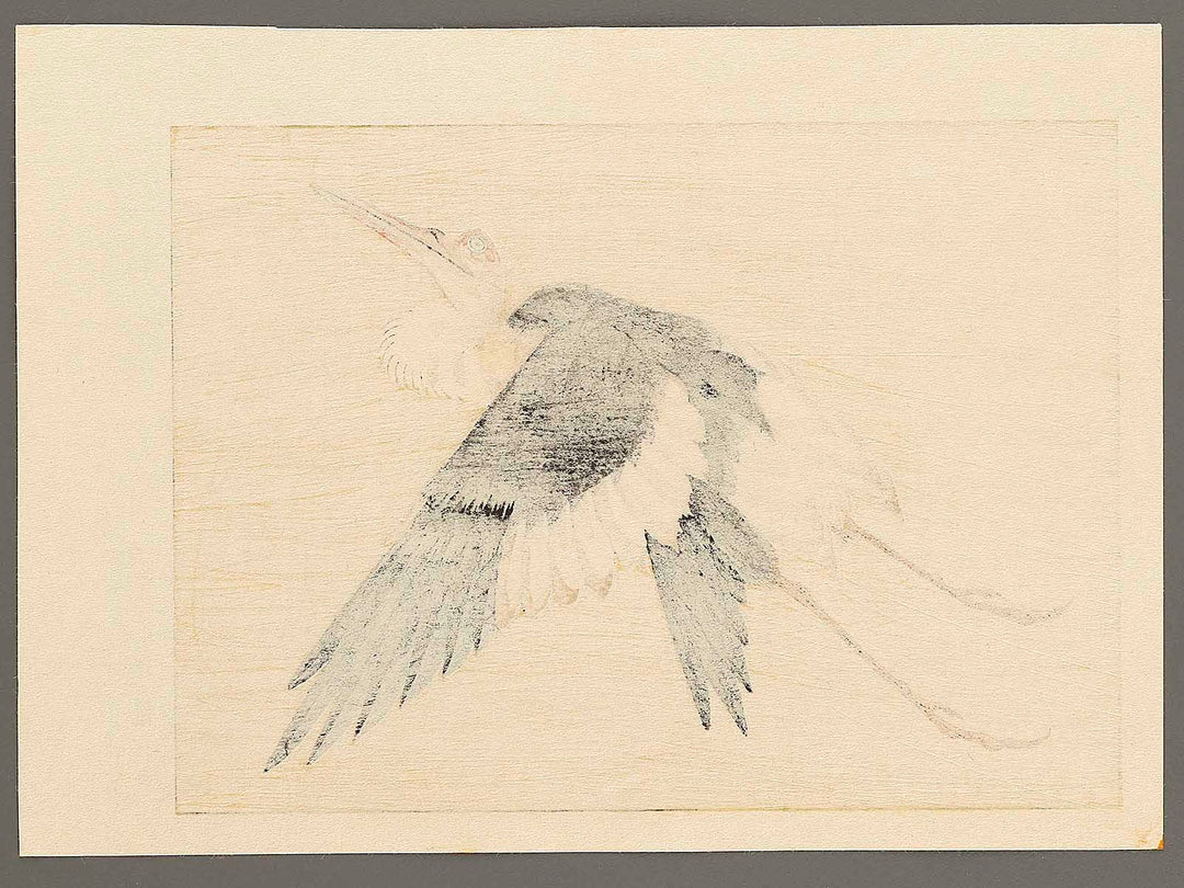 Konotori by Katsushika Hokusai, (Medium print size) / BJ319-634