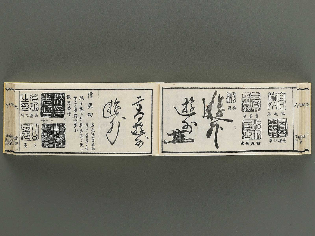 Shoga hikkei meika zensho Volume 6 / BJ348-635
