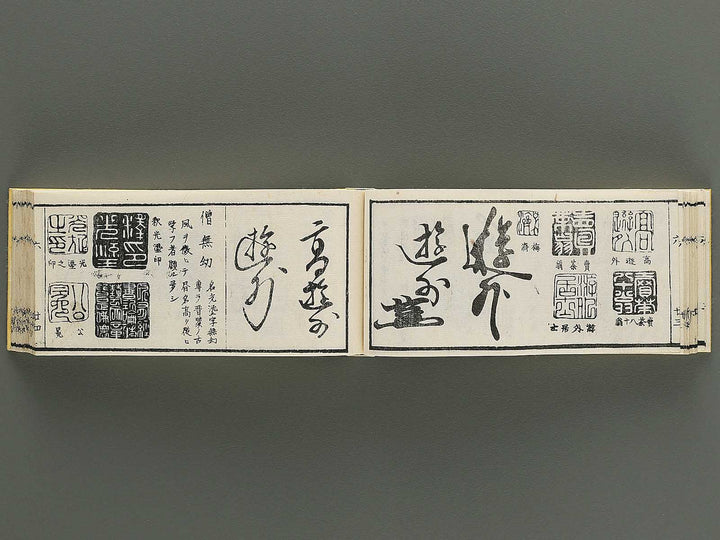 Shoga hikkei meika zensho Volume 6 / BJ348-635