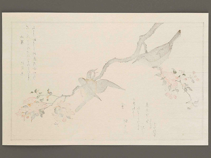 Mountain sparrow and Japanese bush warbler from the series Momochidori kyokaawase by Kitagawa Utamaro, (Large print size) / BJ328-062