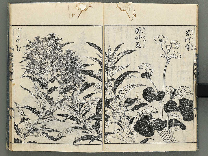 Gahon noyama gusa Volume 4 / BJ346-332