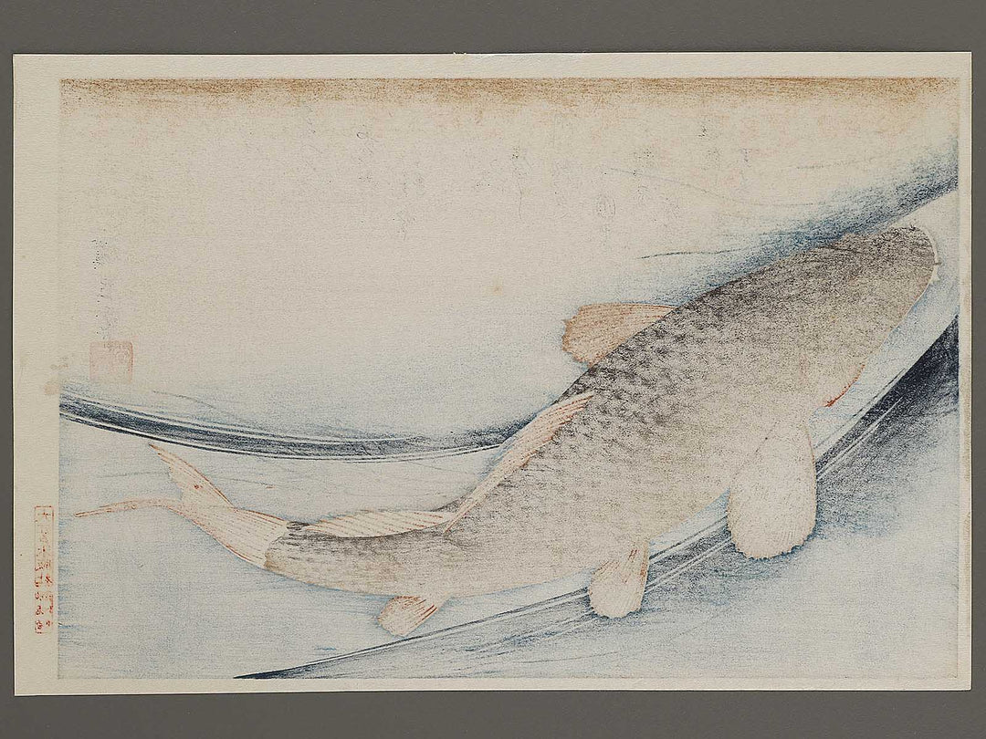 Japanese Carp from the series the series fish by Utagawa Hiroshige, (Large print size) / BJ323-407