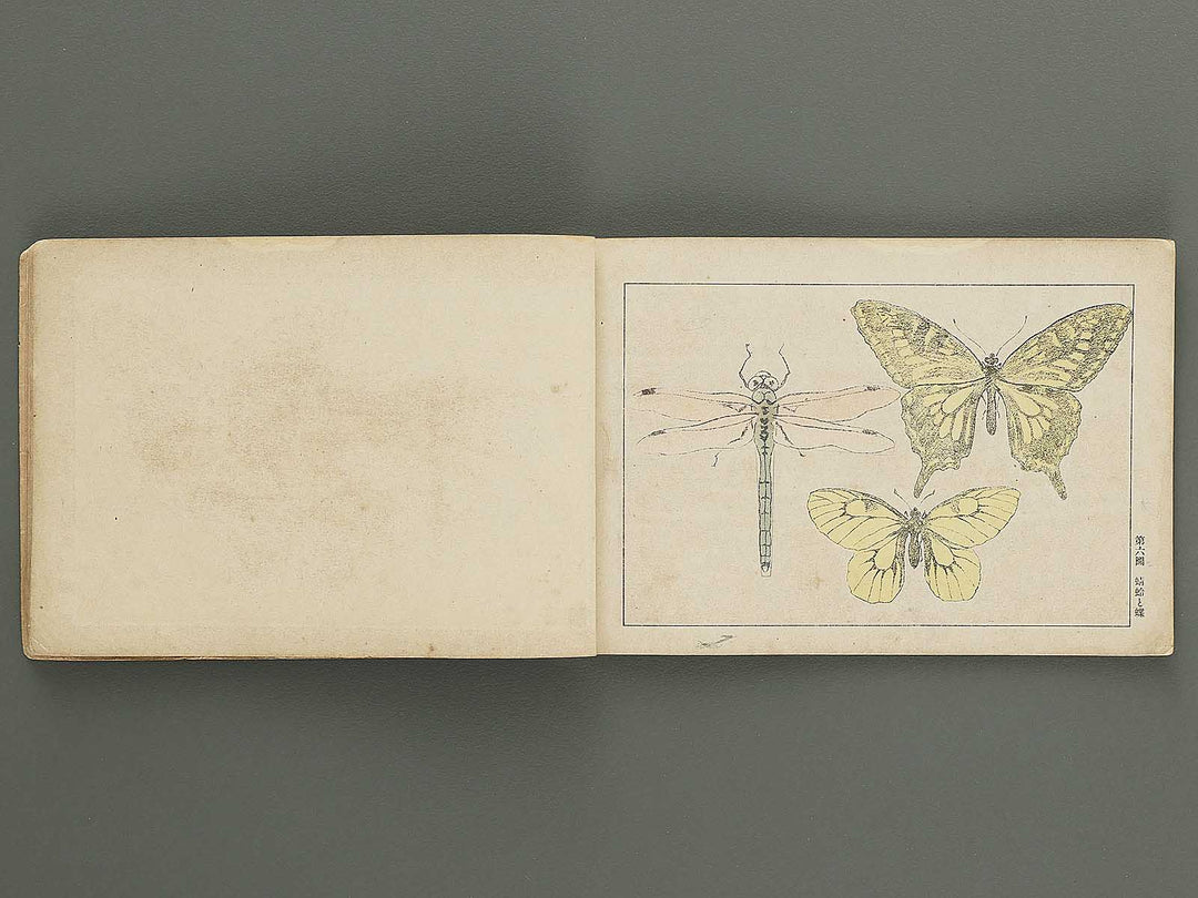 Koto shogaku enpitsu gacho / BJ349-356