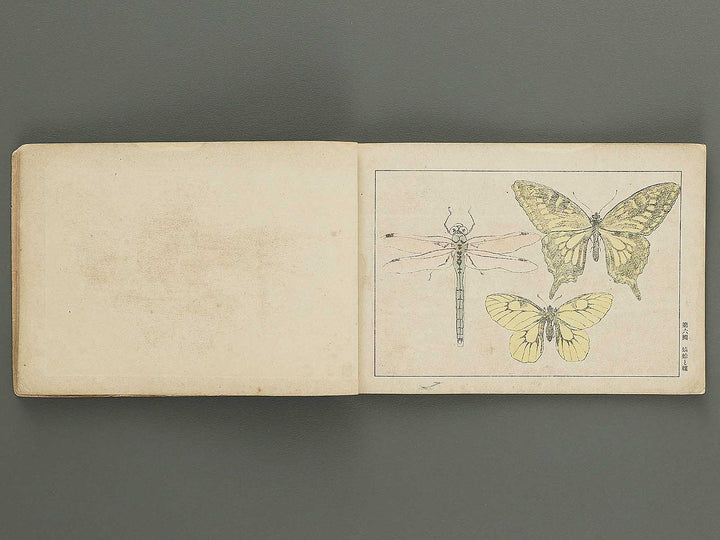 Koto shogaku enpitsu gacho / BJ349-356