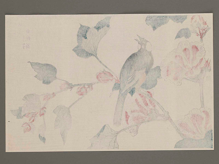 Flower and Bird by Kitao Shigemasa / BJ265-237