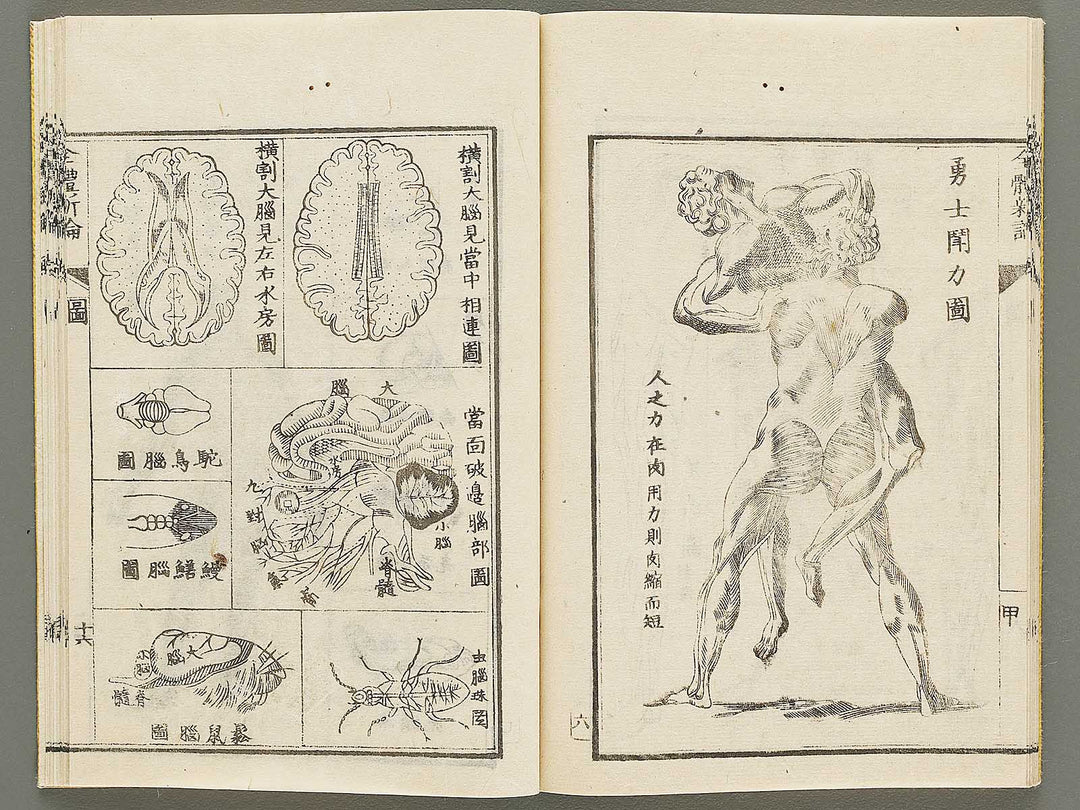 Zentai shinron Ken (Part 1 of 2) / BJ325-346