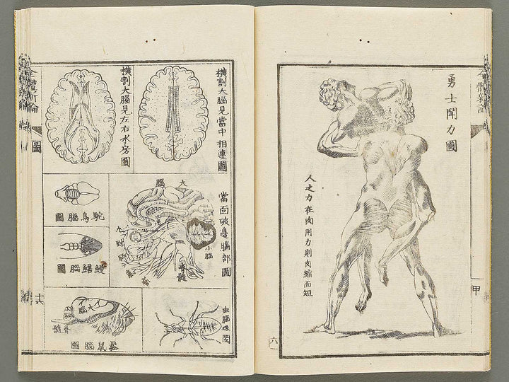 Zentai shinron Ken (Part 1 of 2) / BJ325-346