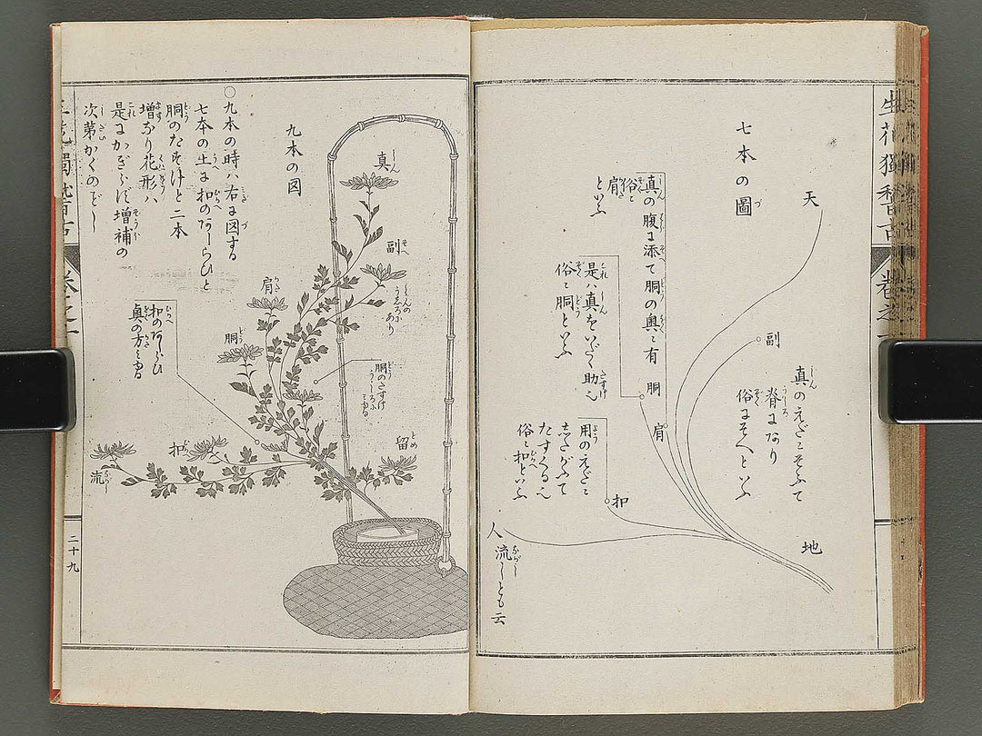 Shoryu hiden ikebana hitorigeiko Volume 1 / BJ347-928