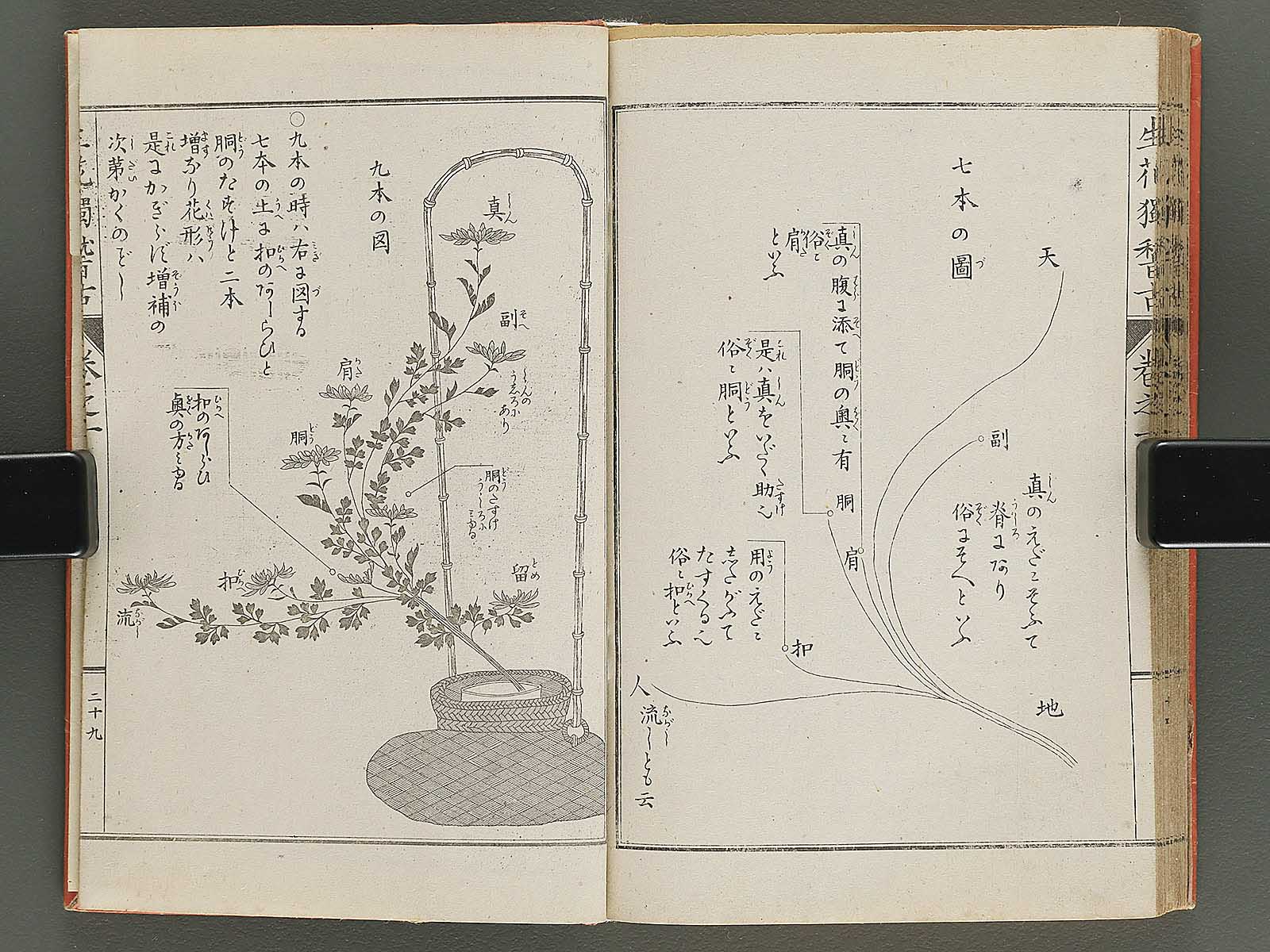 Shoryu hiden ikebana hitorigeiko Volume 1 / BJ347-928