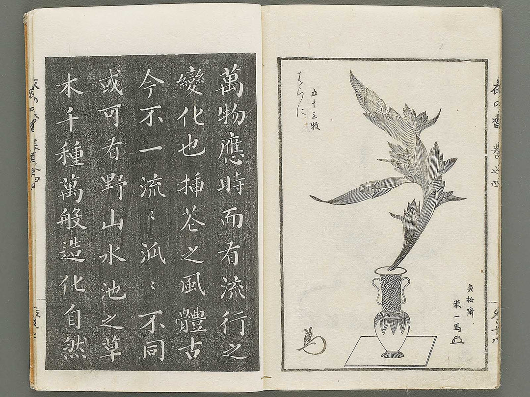 Soka koromonoka Volume 4 by Hishikawa Sori / BJ335-188