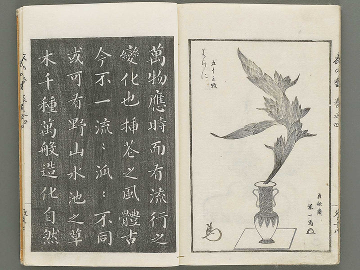 Soka koromonoka Volume 4 by Hishikawa Sori / BJ335-188