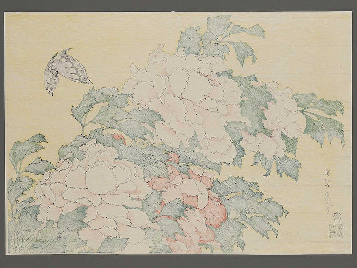 Botan ni cho by Katsushika Hokusai, (Large print size) / BJ343-777