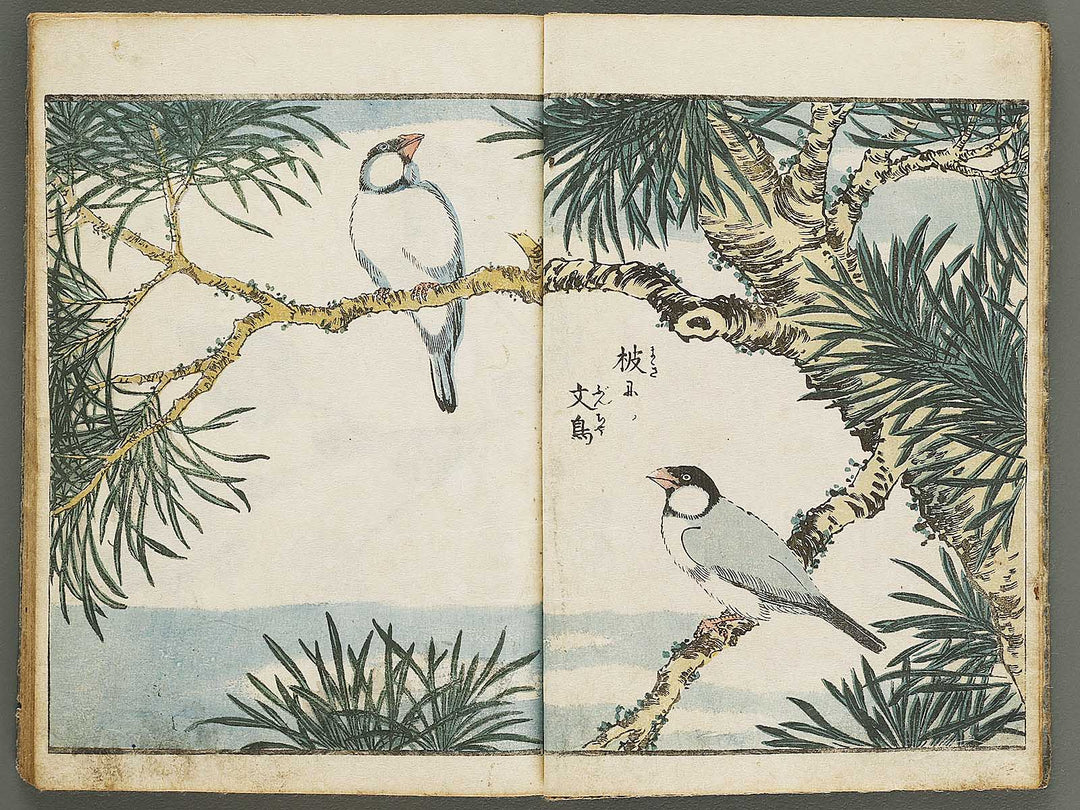 Kacho shashin zui by Kitao Shigemasa / BJ339-115