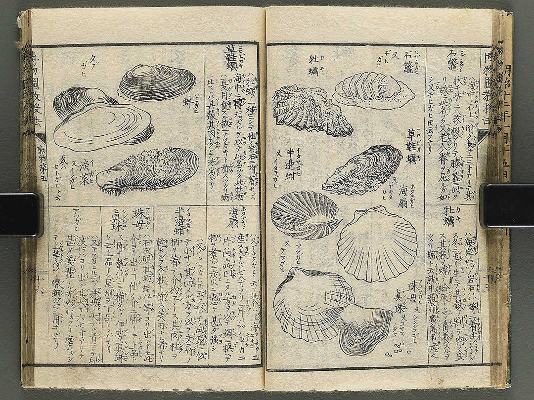 Hakubutsu kyojyuho Volume 4-5 by           / BJ344-729