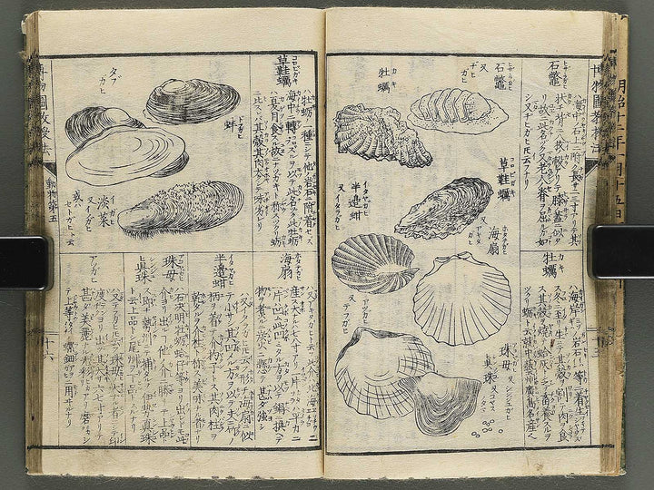 Hakubutsu kyojyuho Volume 4-5 by           / BJ344-729