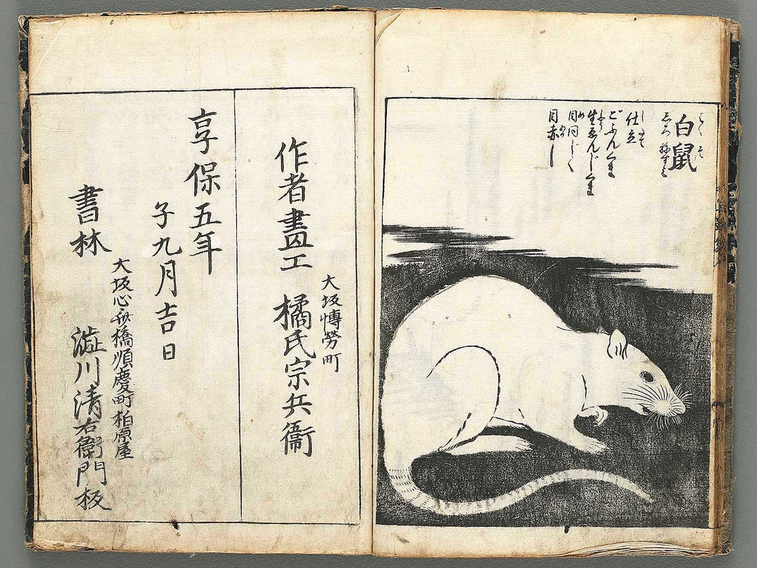 Ehon shaho bukuro Volume 9 by Tachibana Yuzei / BJ295-778
