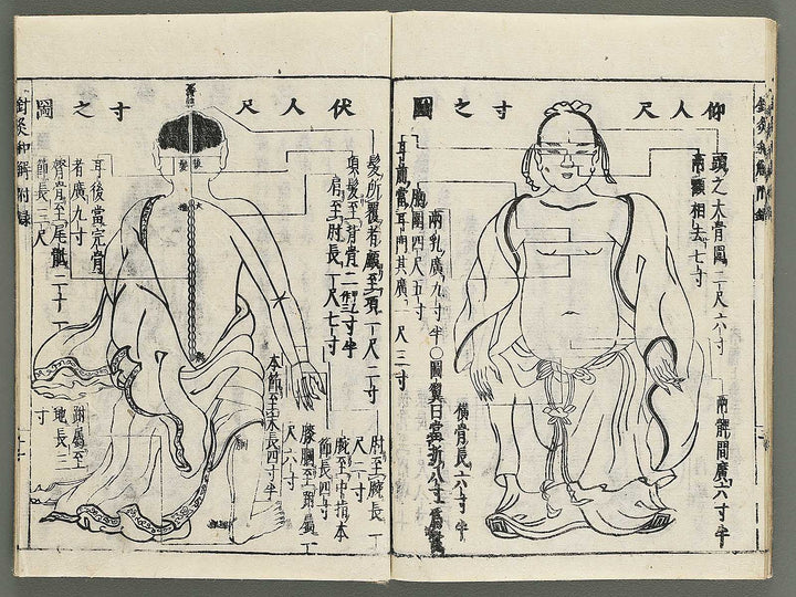 Shikyu wage (furoku) by Okamoto Ippo / BJ347-459