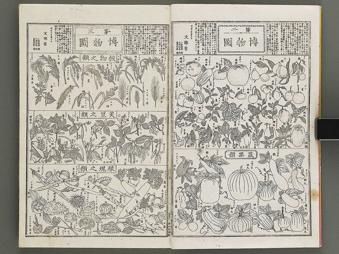 Hakubutsu kyojyuho Volume 1 / BJ341-572