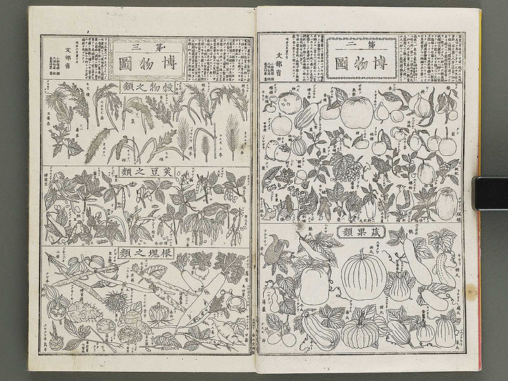 Hakubutsu kyojyuho Volume 1 / BJ341-572