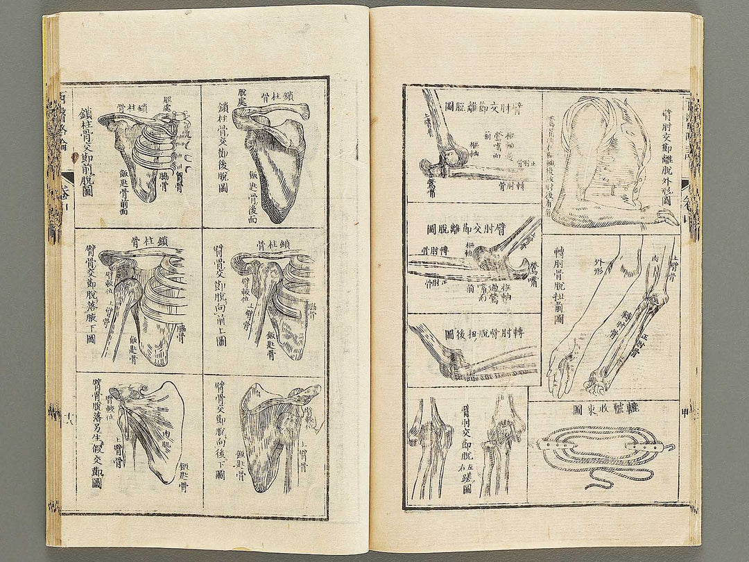 Seii ryakuron (Chu, Jo) / BJ326-319