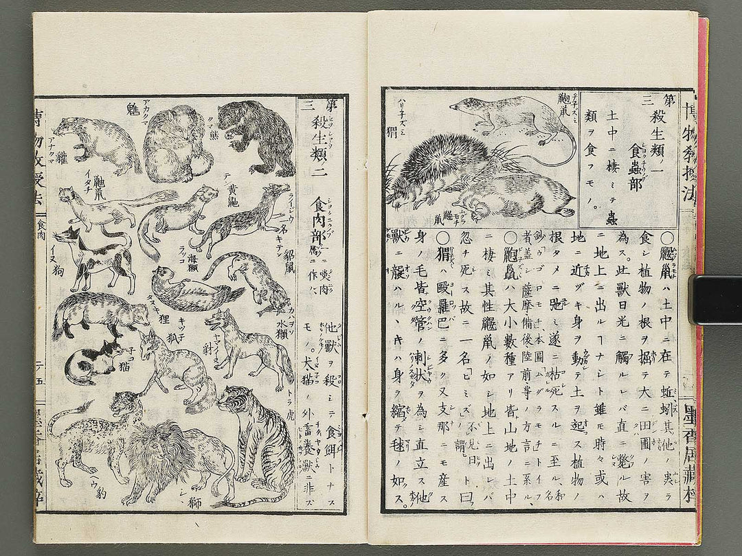 Hakubutsu kyojyuho Volume 2 / BJ341-579