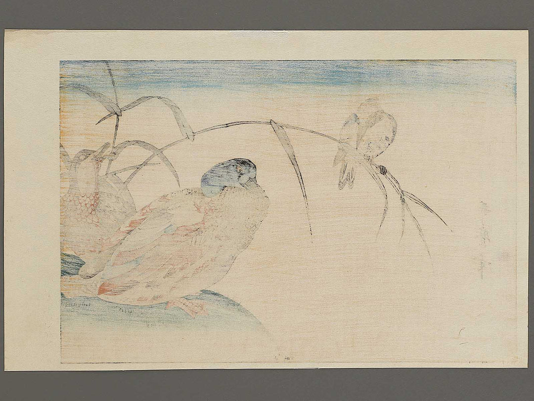 Duck and Kingfisher from the series Momotidori kyoka awase by Kitagawa Utamaro, (Large print size) / BJ328-349