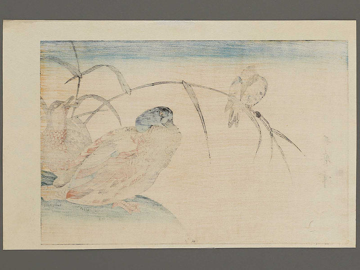 Duck and Kingfisher from the series Momotidori kyoka awase by Kitagawa Utamaro, (Large print size) / BJ328-349