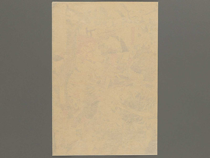 Ichinotani Hiyodorigoe sakaotoshi no zu by Tsukioka Yoshitoshi / BJ347-067