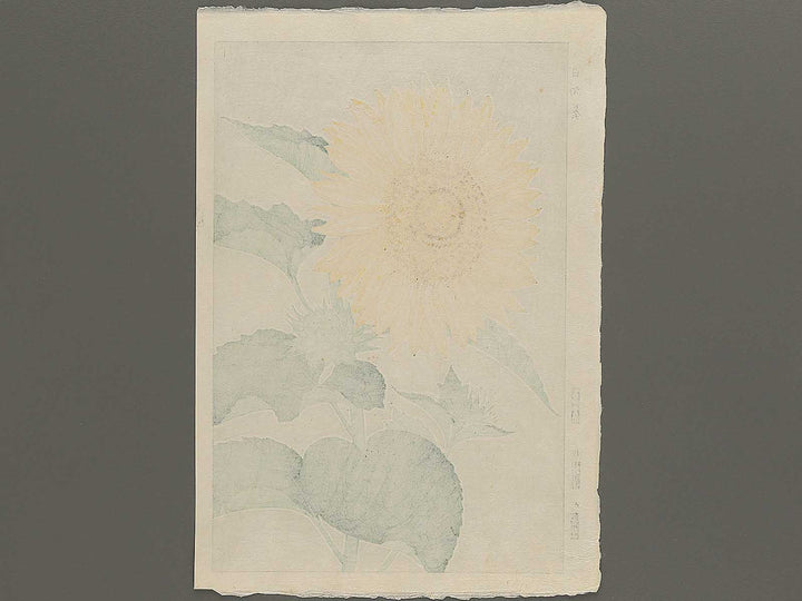 Himawari by Kawarazaki Shodo, (Large print size) / BJ346-276