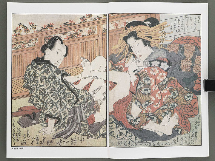 Ezoshi Fuji no yuki Volume 10 by Keisai Eisen / BJ346-472