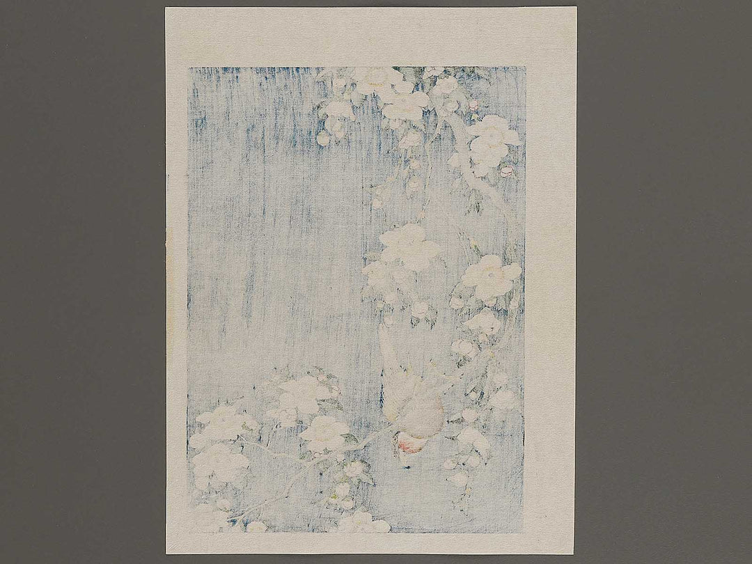 Weeping cherry blossoms against a dark indigo background, capturing the moment a Japanese bullfinch comes to peck at the blossoms. by Katsushika Hokusai, (Medium print size) / BJ323-708