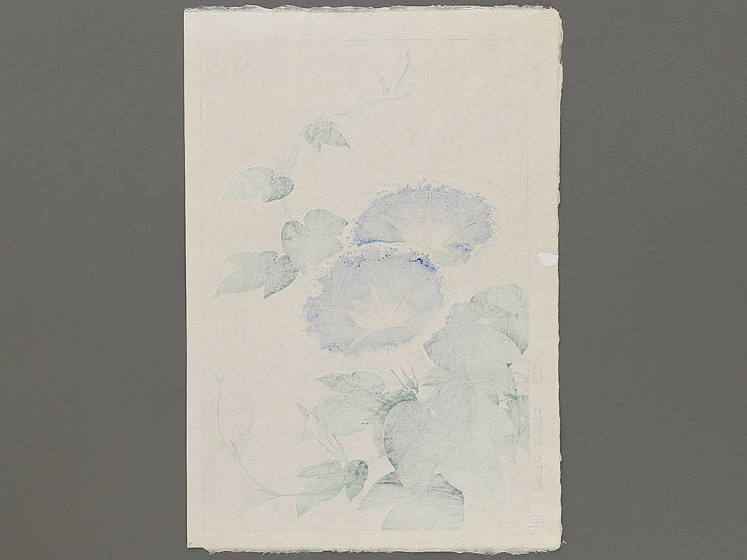 Asagao by Kawarazaki Shodo, (Large print size) / BJ331-338