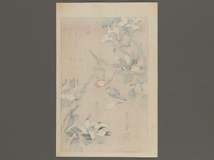Buncho kobushi no hana by Katsushika Hokusai, (Large print size) / BJ336-119